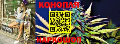 apvp Нальчик