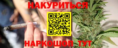 apvp Нальчик