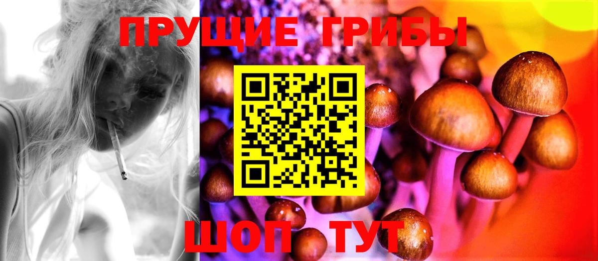 Псилоцибиновые грибы Magic Shrooms Химки